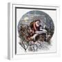 White Frame