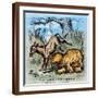 Brown Frame