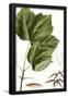 Essential Black