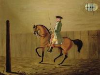 Gentleman on a Bay Horse in a Riding School, 1766-Thomas Parkinson-Framed Stretched Canvas