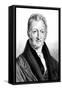 Thomas Robert Malthus, English Economist and Clergyman-John Linnell-Framed Stretched Canvas