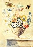 Mixed Flowers in a Cornucopia, C.1768-Thomas Robins-Mounted Giclee Print
