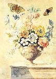 Pd.912-1973 Still Life of Flowers Including a Parrot Tulip, Larkspur, Sweet William, Gentian and…-Thomas Robins-Giclee Print