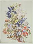 Pd.912-1973 Still Life of Flowers Including a Parrot Tulip, Larkspur, Sweet William, Gentian and…-Thomas Robins-Giclee Print