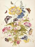 Floral Urn-Thomas Robins-Premium Giclee Print