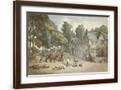 Brown Frame