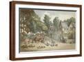 Brown Frame