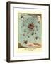 Thomas Rowlandson (British-null-Framed Giclee Print