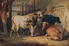 A Bull and three Cows in a Stable, c1856-Thomas Sidney Cooper-Framed Giclee Print