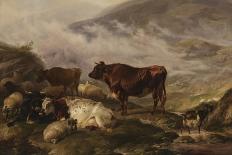Landscape with Cows and Sheep, 1850-Thomas Sidney Cooper-Giclee Print