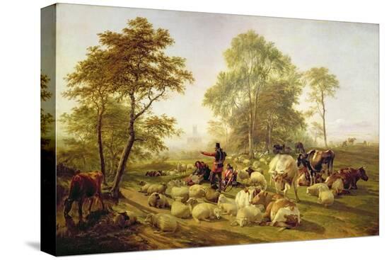 Stretched Canvas Print, , large