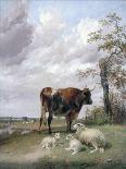 A Group of Cattle, 1877-Thomas Sidney Cooper-Giclee Print