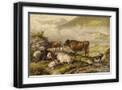 Black Frame