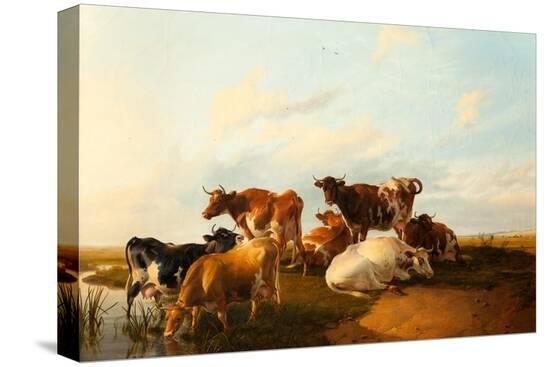 Stretched Canvas Print, , large