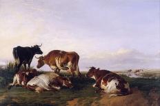 Landscape and Cattle, 1868-Thomas Sidney Cooper-Giclee Print