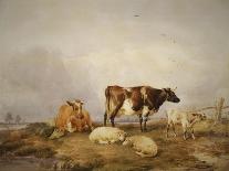 Landscape with Cows and Sheep, 1850-Thomas Sidney Cooper-Mounted Giclee Print