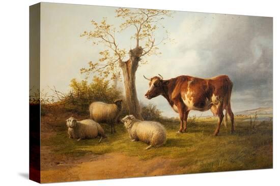 Stretched Canvas Print, , large