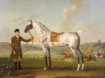 Scipio, Colonel Roche's Spotted Hunter, c.1750-Thomas Spencer-Stretched Canvas