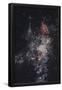 Essential Black