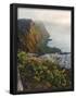 Essential Black