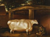 The White Heifer That Travelled, with a Man Slicing Turnips in a Stable Yard, 1811-Thomas Weaver-Giclee Print