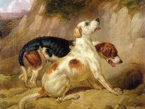 Portrait of Favorite Foxhounds-Thomas Woodward-Mounted Giclee Print