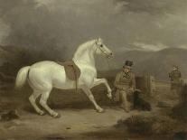 Mr. Johnstone King's Grey Shooting Pony Waiting with a Groom on a Scottish Moor, 1835-Thomas Woodward-Framed Stretched Canvas
