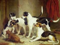 Portrait of Favorite Foxhounds-Thomas Woodward-Framed Stretched Canvas