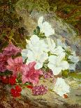 Rhododendrons with Bumble-Bee on an Ivy-Clad Ledge-Thomas Worsey-Mounted Giclee Print