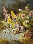 Still Life of Floxgloves, Mushrooms, Snapdragons, and Thistles-Thomas Worsey-Stretched Canvas