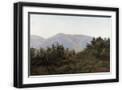 Black Frame