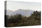 Stretched Canvas
