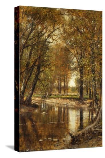 Stretched Canvas Print, , large