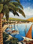 Coastal Village I-Thomas Young-Art Print