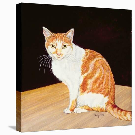 Thomas-Ditz-Stretched Canvas