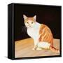 Thomas-Ditz-Framed Stretched Canvas