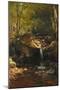 Thompson Cascade, White Mountains-Albert Bierstadt-Mounted Giclee Print