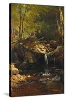 Thompson Cascade, White Mountains-Albert Bierstadt-Stretched Canvas