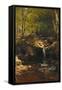 Thompson Cascade, White Mountains-Albert Bierstadt-Framed Stretched Canvas