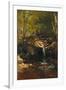 Thompson Cascade, White Mountains-Albert Bierstadt-Framed Giclee Print