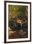 Thompson Cascade, White Mountains-Albert Bierstadt-Framed Giclee Print