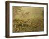 Thomson's gazelle herd, Serengeti National Park, Tanzania-Sandesh Kadur-Framed Photographic Print