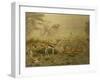 Thomson's gazelle herd, Serengeti National Park, Tanzania-Sandesh Kadur-Framed Photographic Print