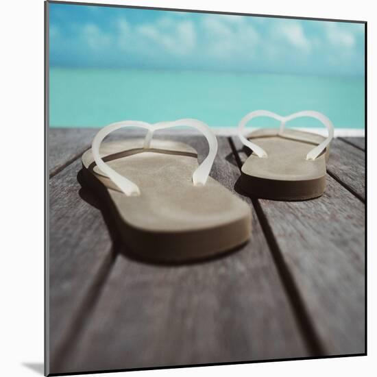 Thong Shoes-null-Mounted Photographic Print