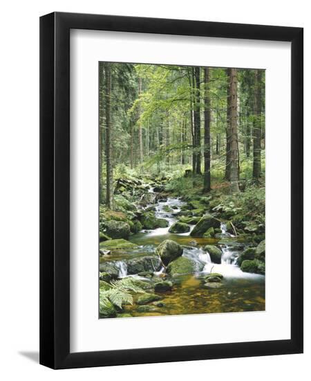 Premium Photographic Print, , large