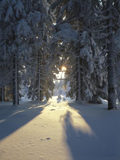 Premium Photographic Print, , large