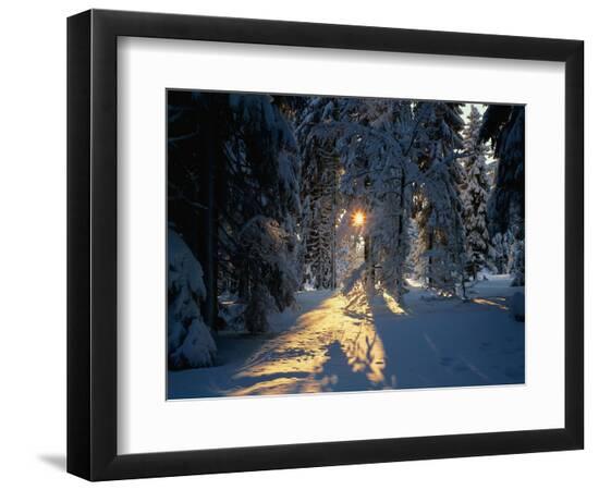 Premium Photographic Print, , large