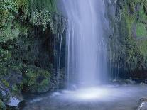 New Zealand, North Island, Mt.Taranaki National Park, Dawson Falls, Waterfall-Thonig-Photographic Print