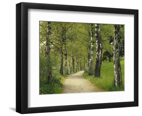 Premium Photographic Print, , large