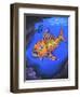 Thooty-Martin Nasim-Framed Giclee Print